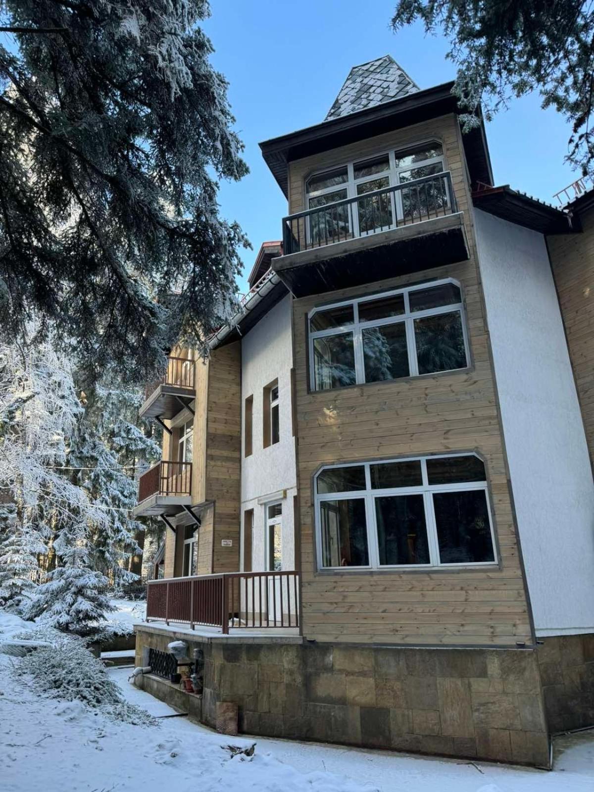 The Forest Villa Боровец Экстерьер фото