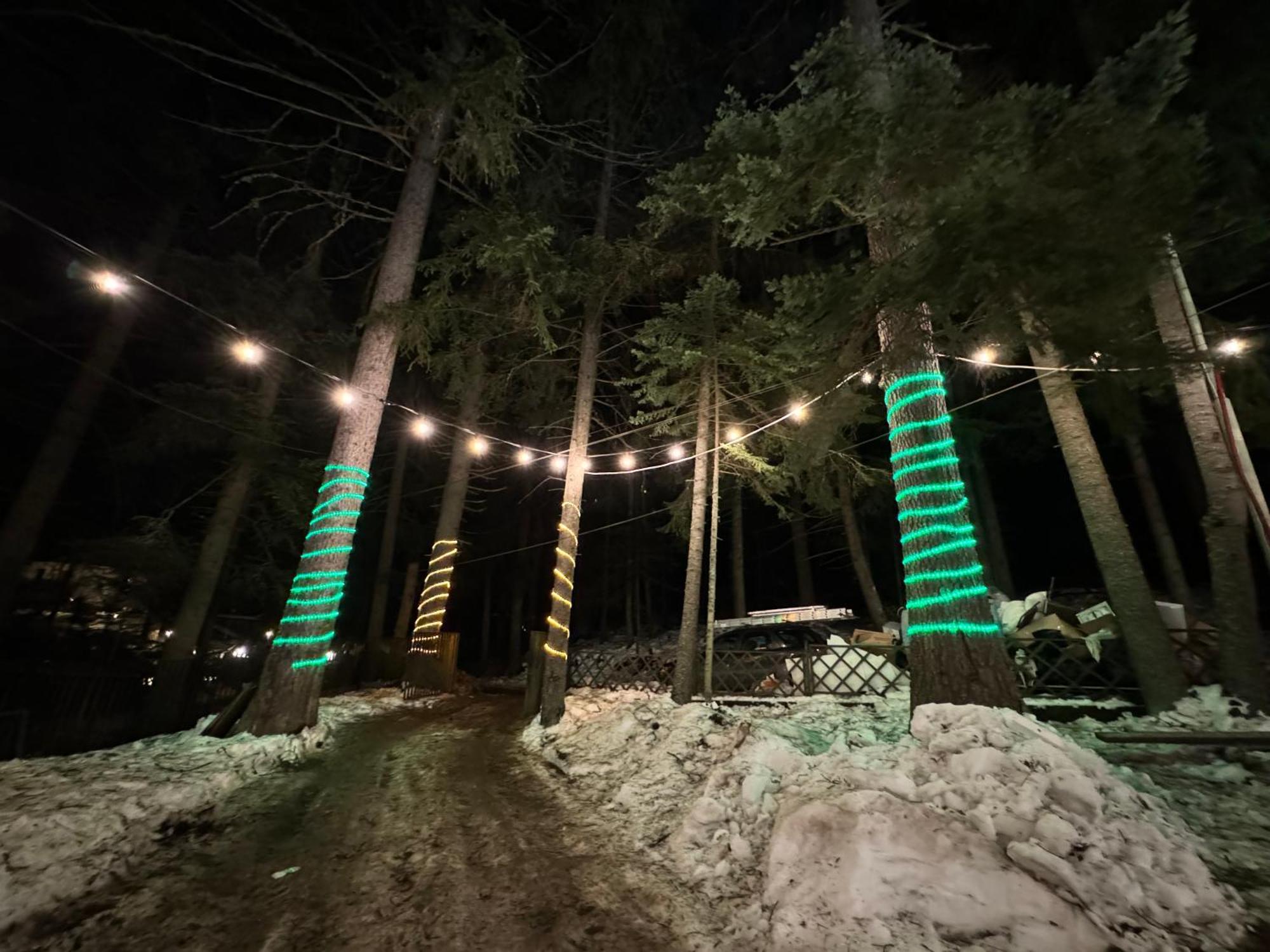 The Forest Villa Боровец Экстерьер фото