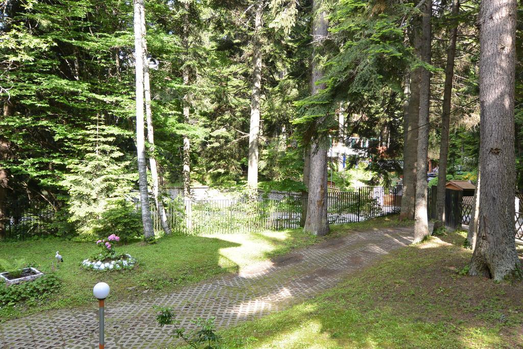 The Forest Villa Боровец Экстерьер фото